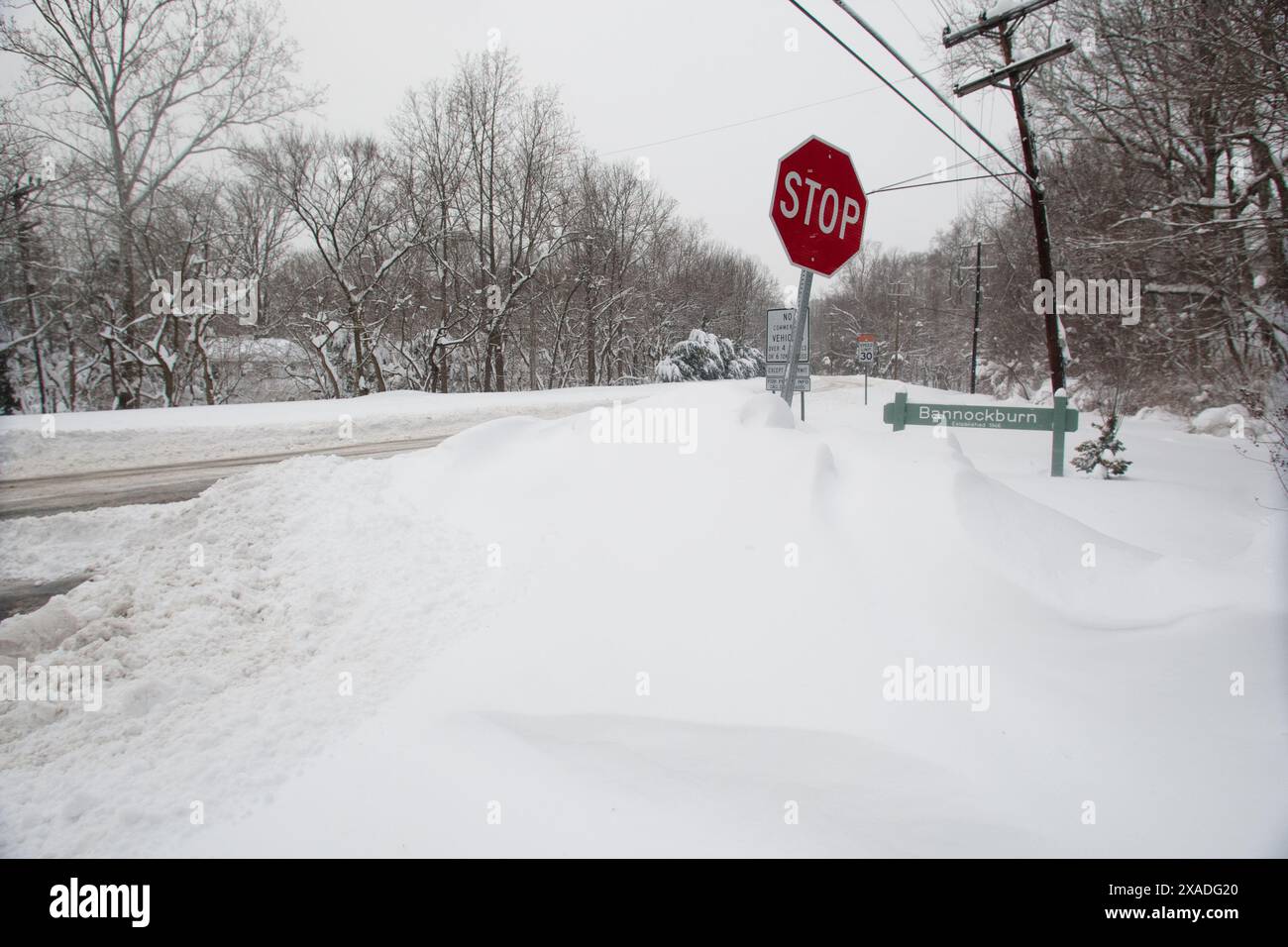 Un MacArthur Boulevard enneigé près de Washington, DC, pendant la tempête de neige hivernale de 2010. Banque D'Images