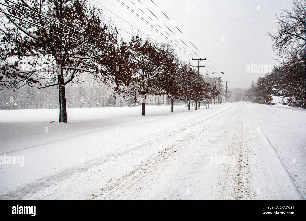 Un MacArthur Boulevard enneigé près de Washington, DC, pendant la tempête de neige hivernale de 2010. Banque D'Images