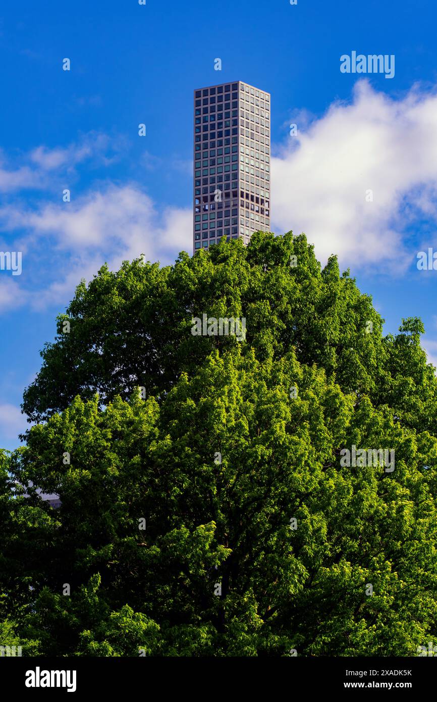 Vue du bâtiment 432 Park Avenue sur Manhattan, vu de Cantral Park. New York, États-Unis. Banque D'Images