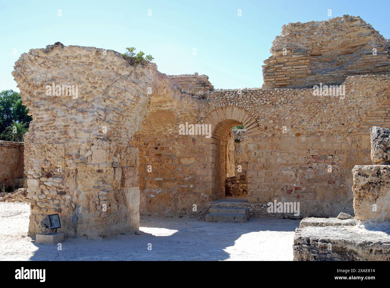 Ruines de l'ancienne Carthage, gouvernorat de Tunis, Tunisie Banque D'Images