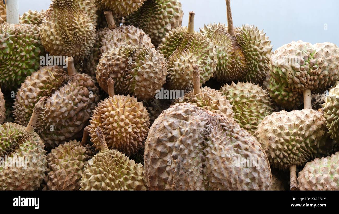 Un tas de durians séchés. Les durians sont bruns et ont une apparence épaisse Banque D'Images