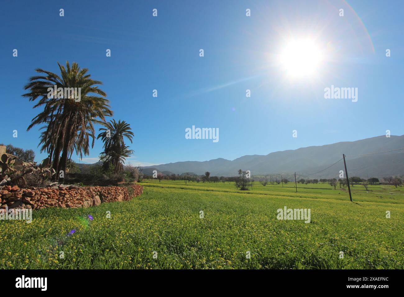 Paysage marocain du sud d'Agadir. Banque D'Images