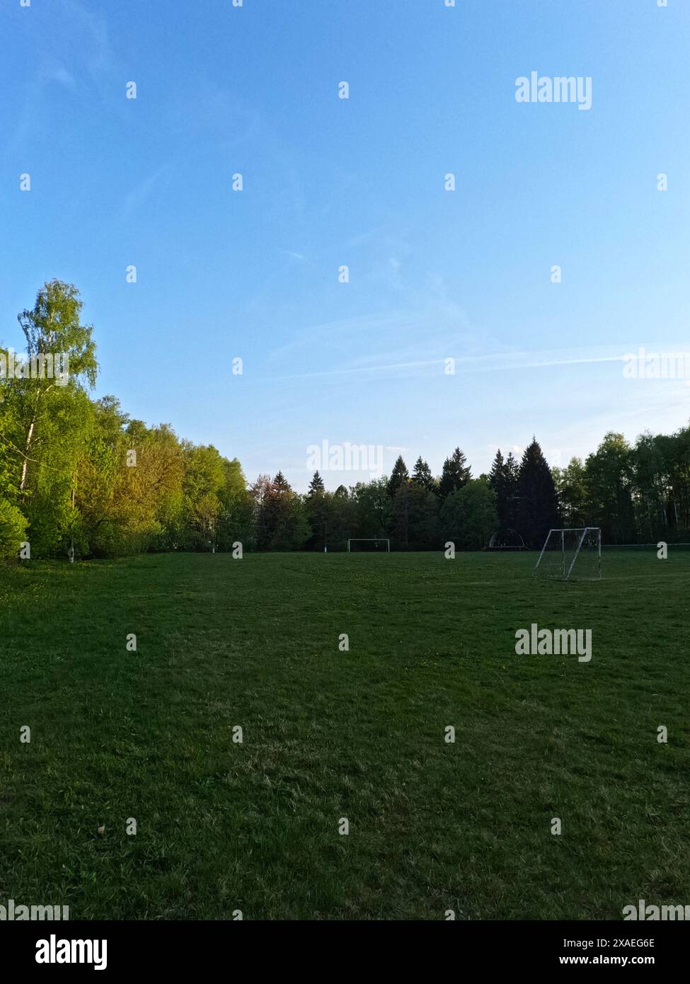 Un terrain de football au milieu de la forêt. Portes blanches de football. Photo de haute qualité Banque D'Images