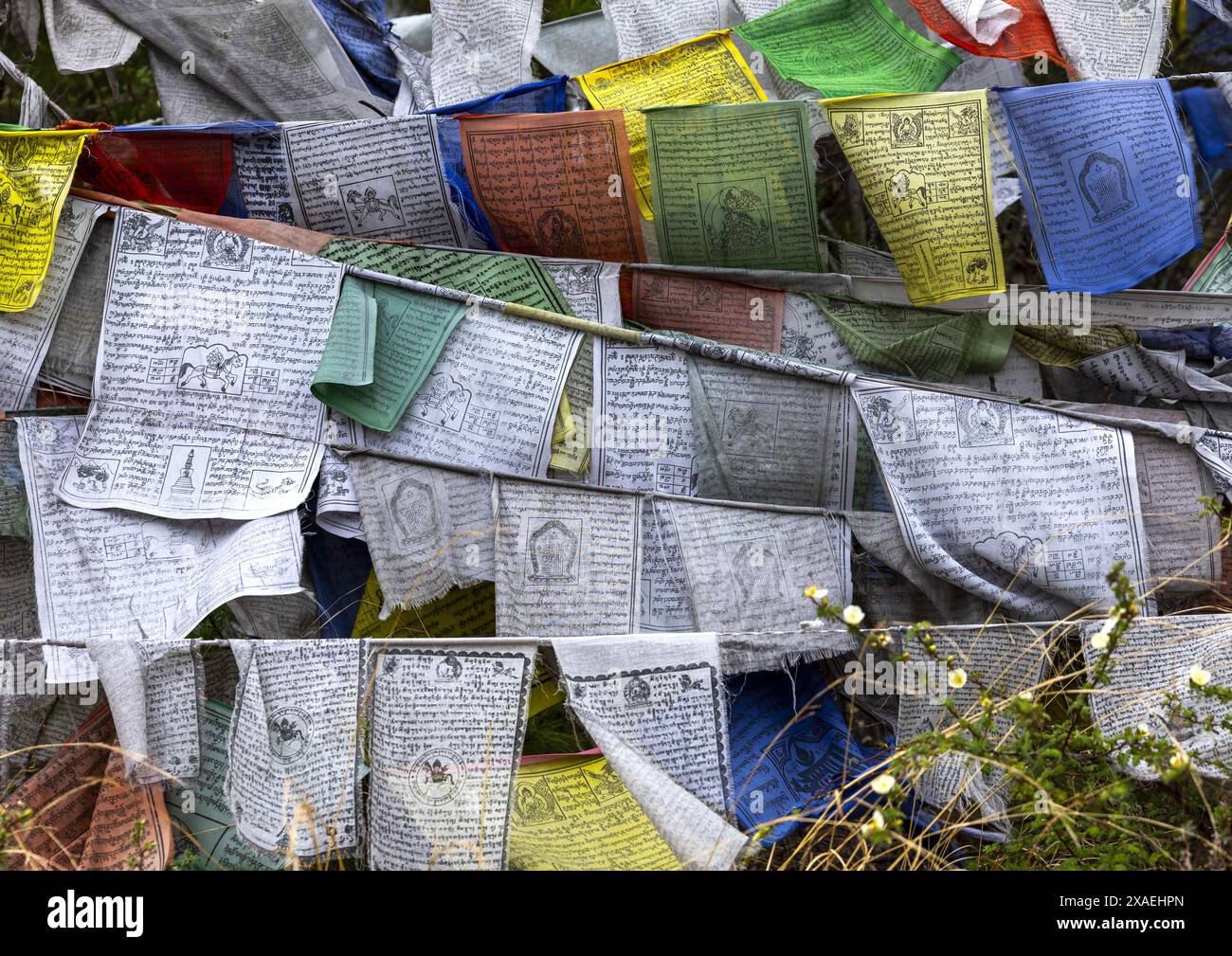 Drapeaux de prière dans le vent, Chang Gewog, Thimphu, Bhoutan Banque D'Images