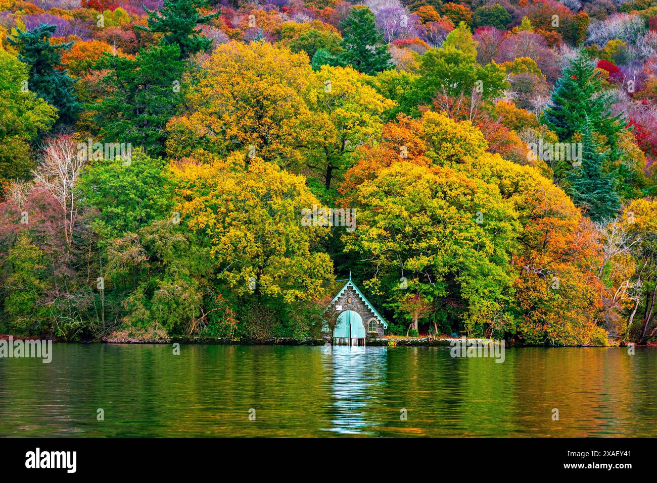 Couleurs d'automne sur le lac. Boathouse Trees Woodland a été soumis à nouveau en janvier 30 2023 Banque D'Images