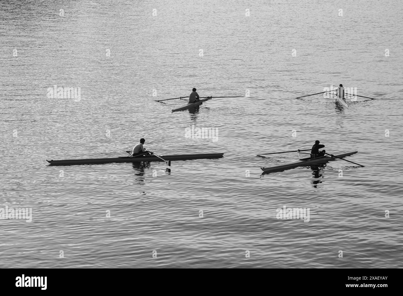 Vue en grand angle d'un groupe de quatre rameurs toujours sur le fleuve po, le plus long fleuve d'Italie, qui traverse Turin, Piémont, Italie Banque D'Images