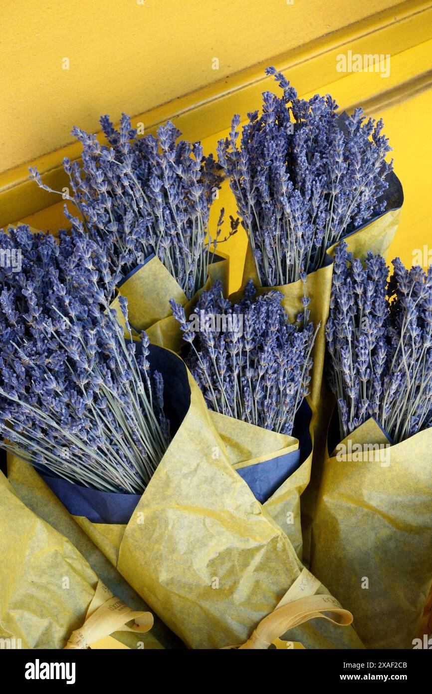 Bouquets de fleurs séchées de lavande française enveloppées dans du papier jaune Banque D'Images