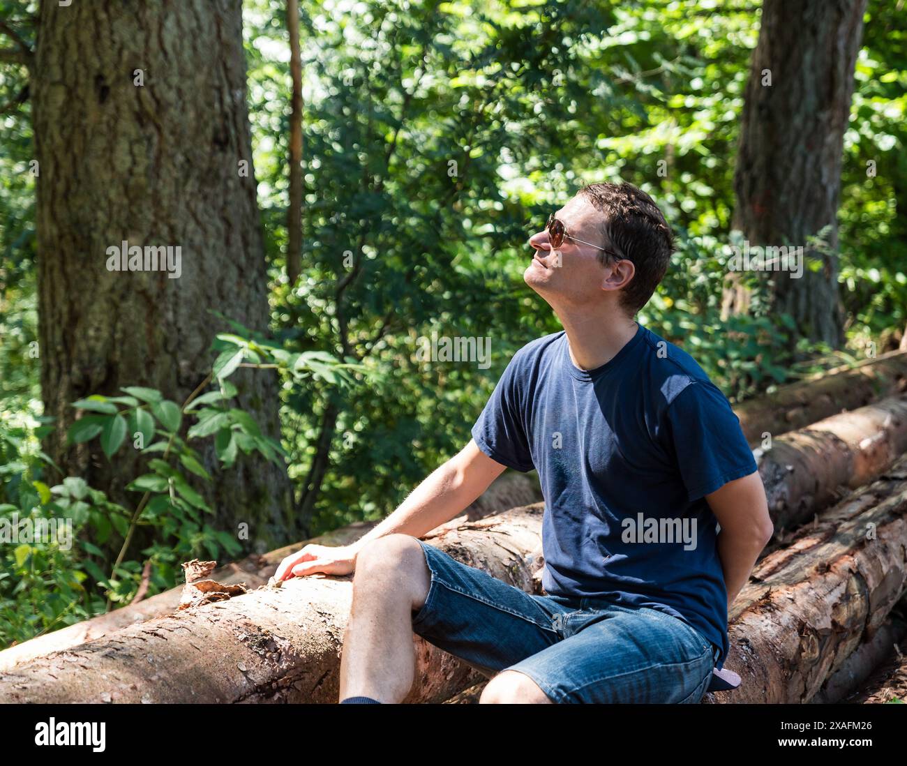 Portrait d'un homme actif de 40 ans, assis sur des troncs d'arbres dans le bois, Burg-Reuland, Belgique. Autorisation du modèle. Banque D'Images