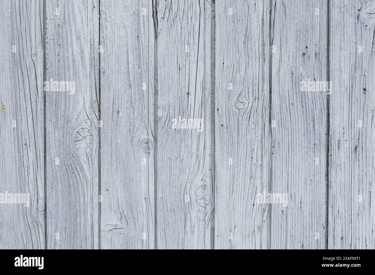 photographie à plat en gros plan d'une surface peinte en planche de bois tendre gris clair, fond texturé en planche de bois naturel Banque D'Images