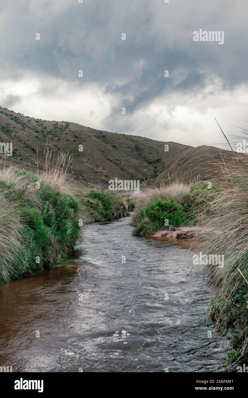 paysage avec des couleurs saturées avec une rivière dans les montagnes froides et l'herbe abondante de chaque côté de la rivière en arrière-plan, vous pouvez voir un grand Banque D'Images