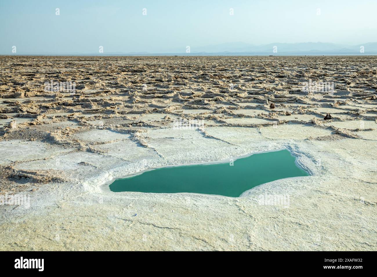 Surface du lac salé blanc de Karum avec petit étang d'eau, désert de dépression de Danakil, région d'Afar, Ethiopie Banque D'Images