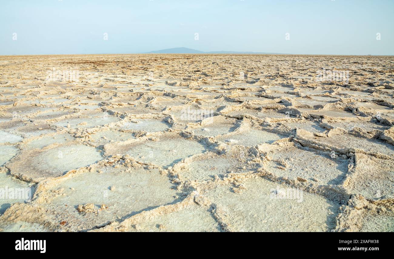 Surface du lac de sel blanc de Karum, désert de dépression de Danakil, région d'Afar, Ethiopie Banque D'Images