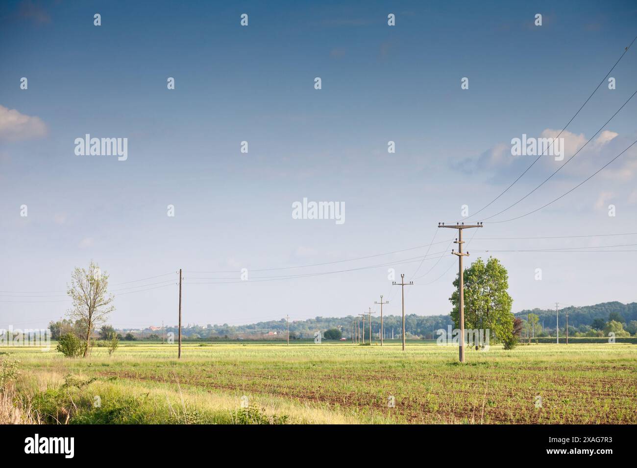 Les lignes électriques s'étendent à travers de vastes champs en Serbie, illustrant l'infrastructure qui soutient l'approvisionnement en électricité du pays. Cette image est haute Banque D'Images