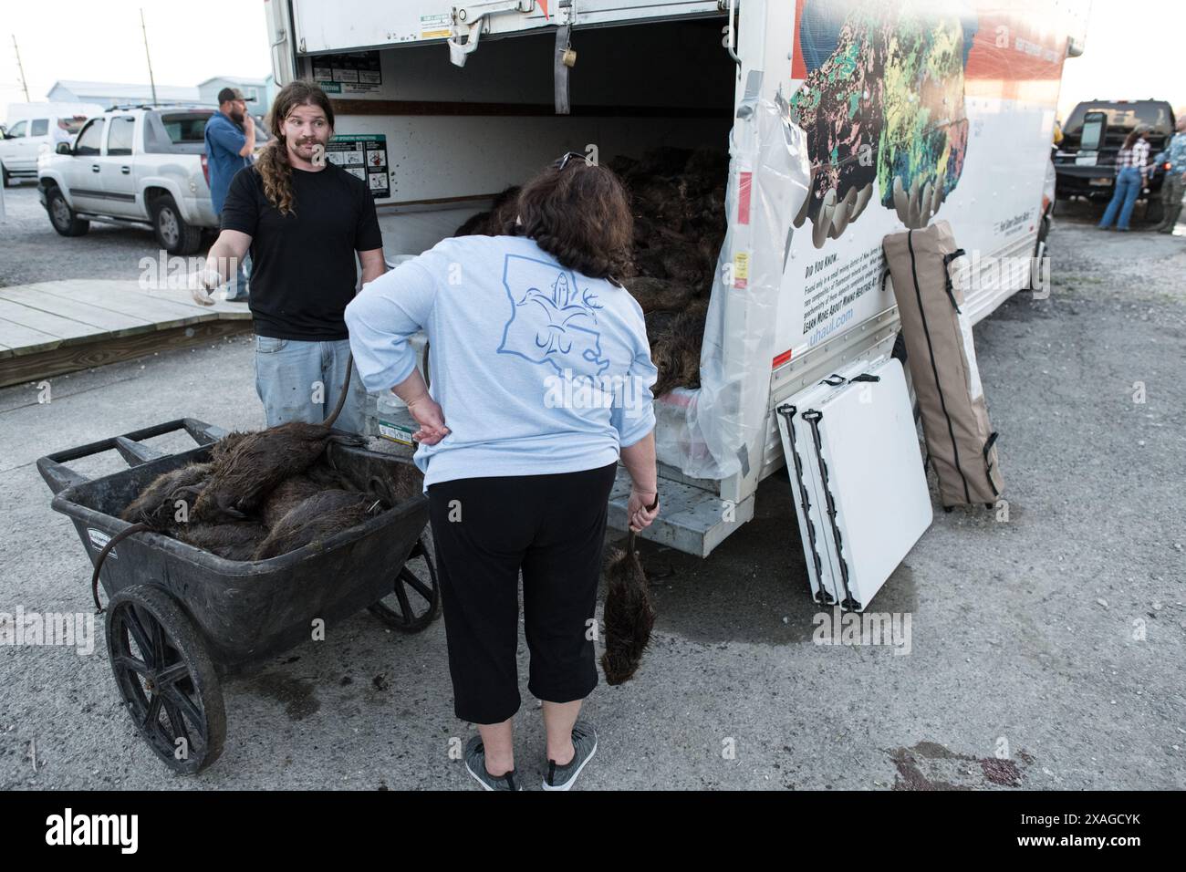 Les chasseurs déchargent un camion de carcasses de nutria chassées à Venice Marina lors de l'événement annuel Nutria Rodeo à Venice, en Louisiane. Banque D'Images