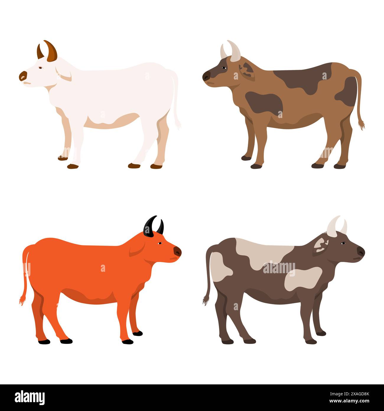 Ensemble de conception d'illustration vectorielle de vache. Collection d'illustration de vache Illustration de Vecteur