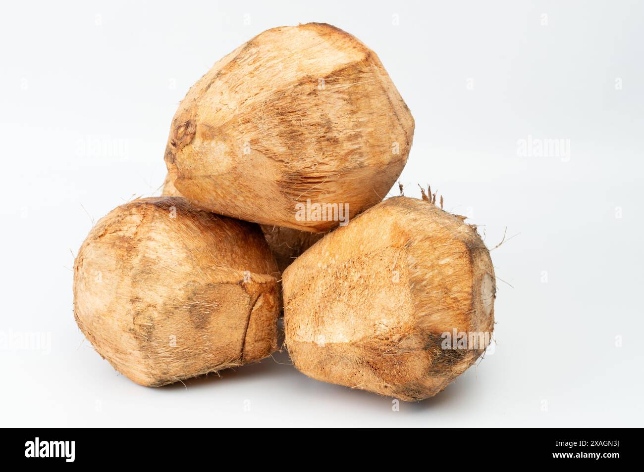 Coupe frsh propre de noix de coco isolé sur fond blanc de studio Banque D'Images