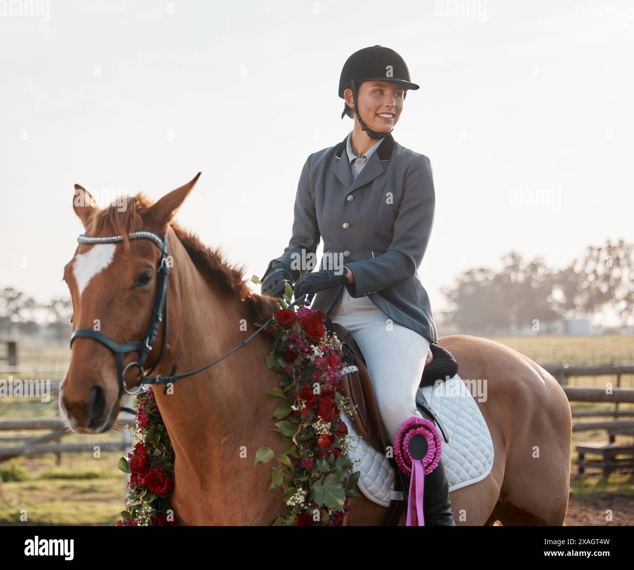 Cheval, vainqueur et équestre avec ruban sur ranch pour la performance, la réalisation et la compétition. Prix, animal et sportif dans la campagne pour Banque D'Images