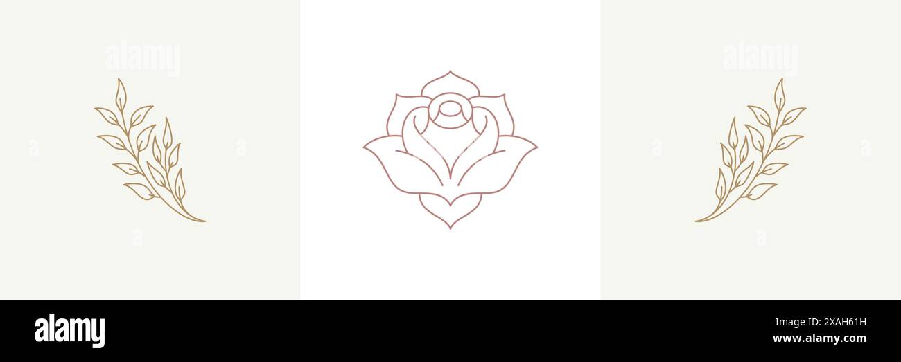 Fleur naturelle tendre rose et brindilles avec fleur en fleurs dans un ensemble d'illustrations vectorielles de style linéaire boho. Emblèmes bohémiens en lignes dorées féminin SY Illustration de Vecteur