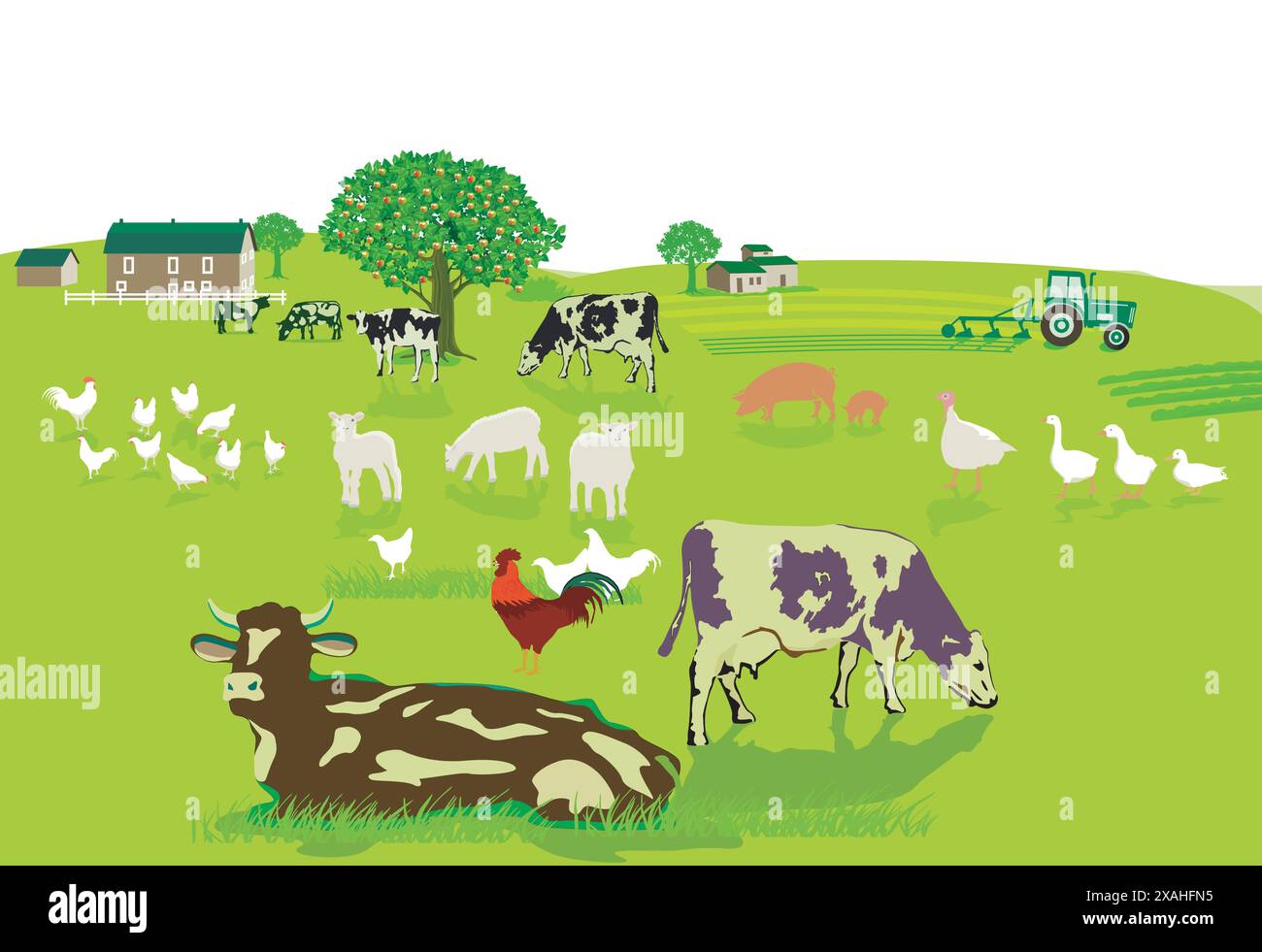 Ferme et agriculture avec des animaux, illustration Illustration de Vecteur
