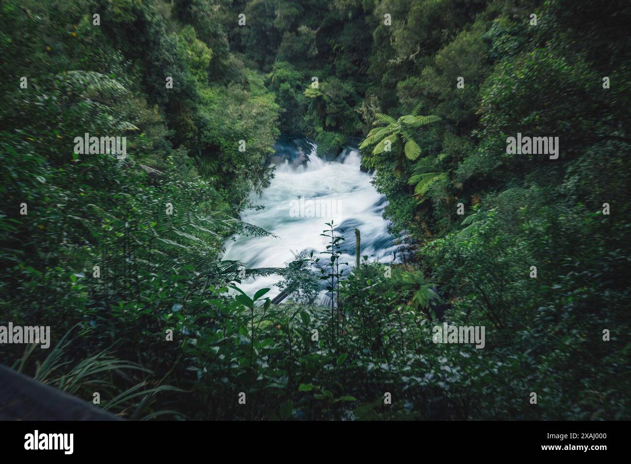 Une rivière sauvage dans une forêt luxuriante, entourée de rochers et d'une végétation dense, Okere Falls, Nouvelle-Zélande Banque D'Images