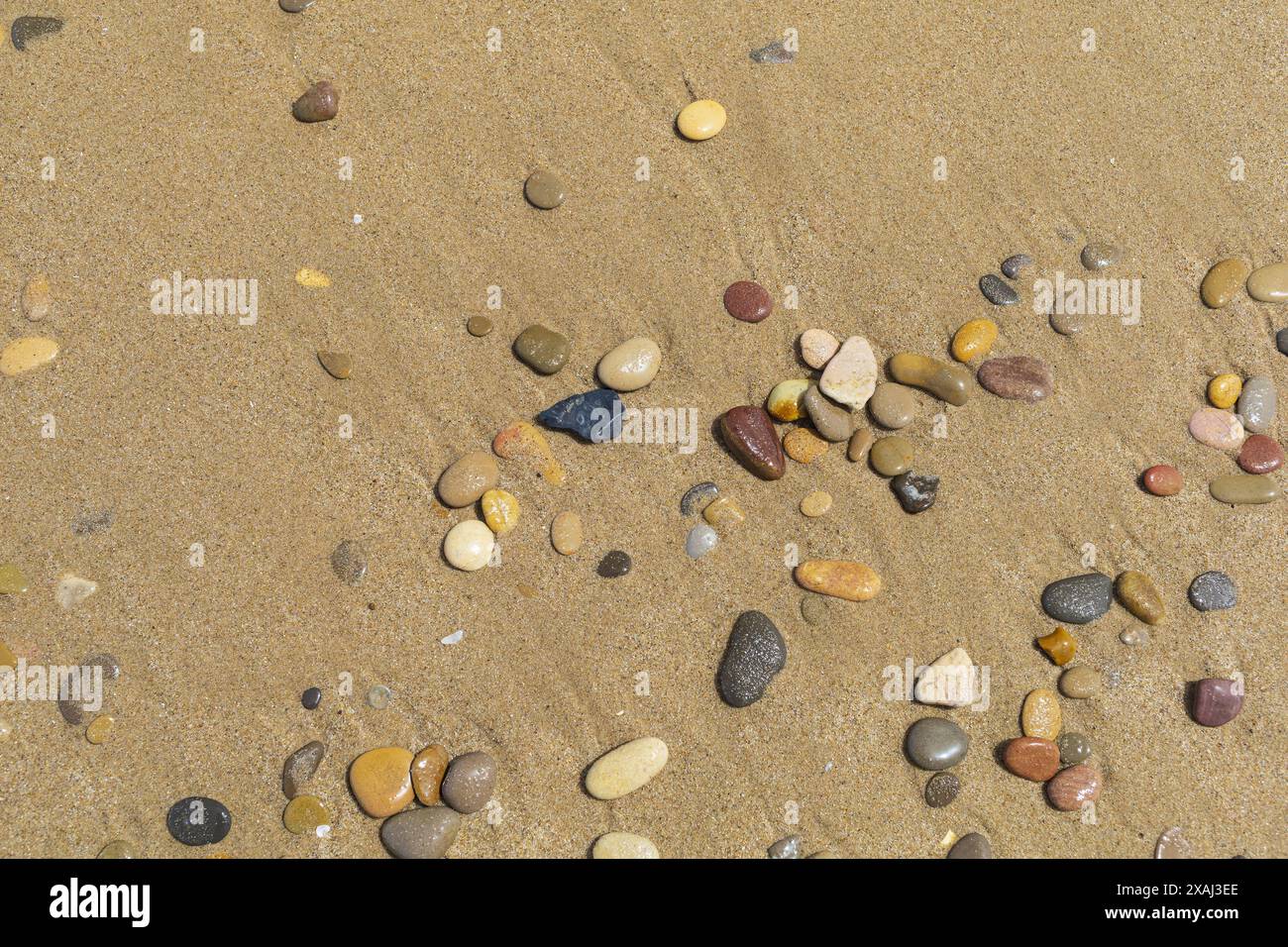 gros plan photo plate d'une plage de sable humide avec de petites pierres colorées Banque D'Images