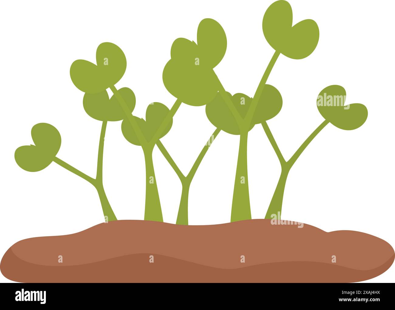 Plusieurs petites plantes vertes aux tiges épaisses poussent à partir de sol brun Illustration de Vecteur
