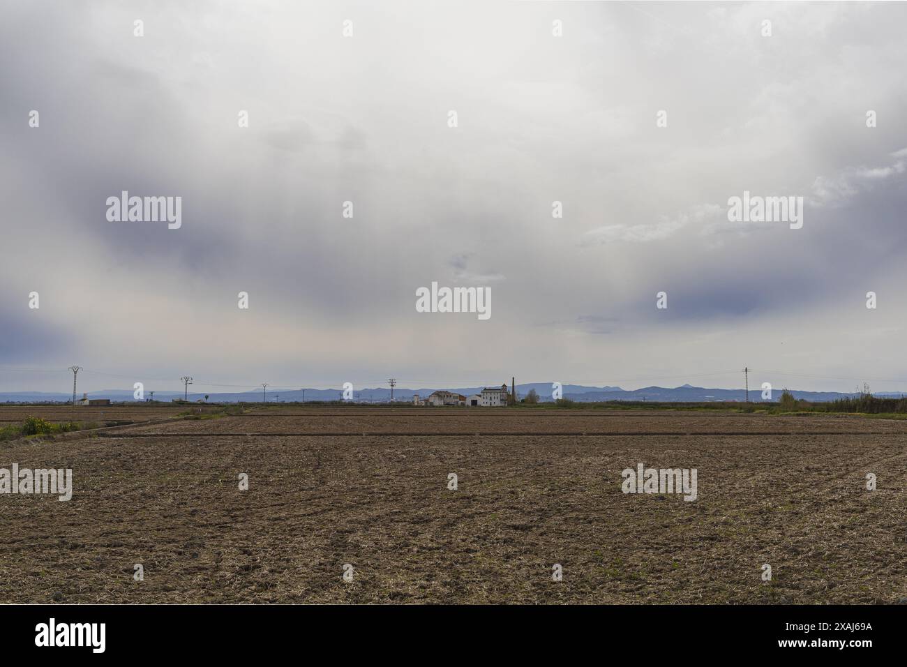 Photo panoramique des rizières au printemps à El Saler à Valence, Espagne Banque D'Images