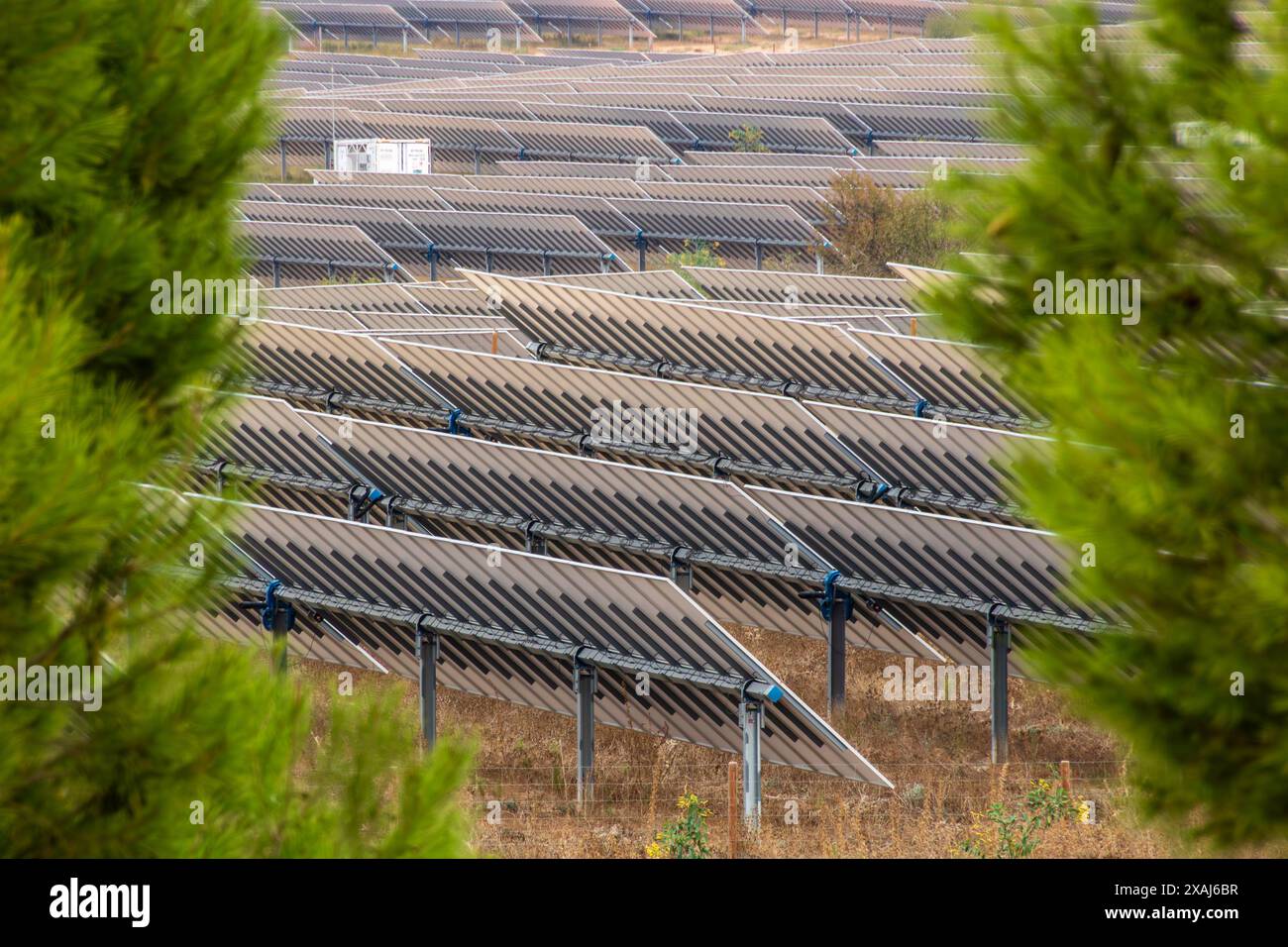Un champ de panneaux solaires avec quelques arbres en arrière-plan Banque D'Images