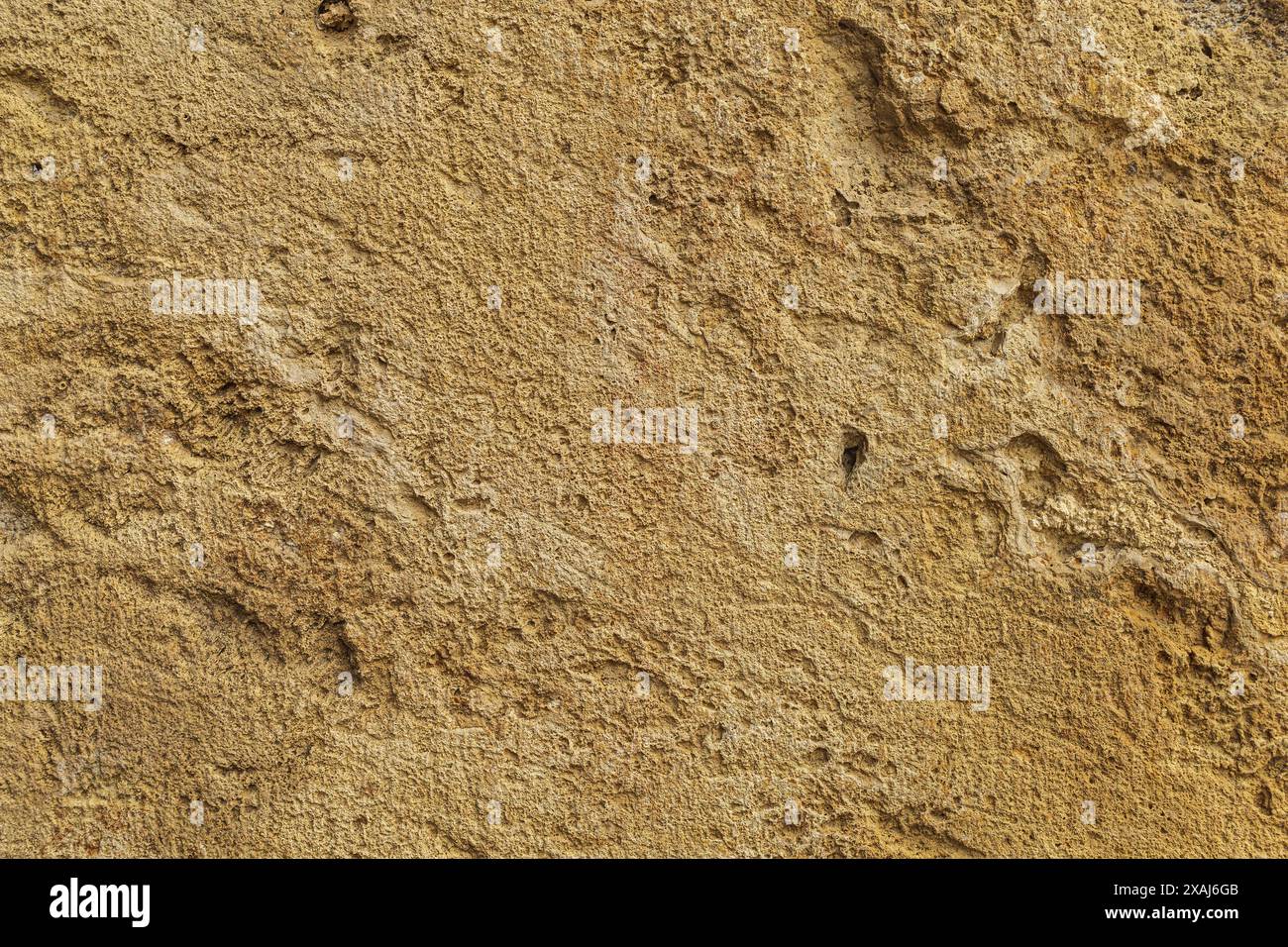 photographie à plat en gros plan d'une surface de grès jaune beige, ancien fond texturé de roche de sable rugueux Banque D'Images