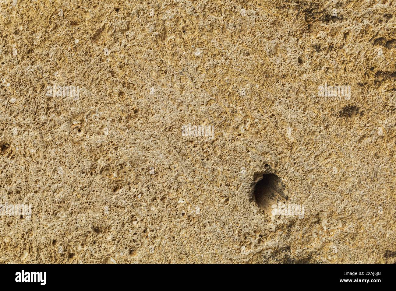 photographie à plat en gros plan d'une surface de grès jaune beige, ancien fond texturé de roche de sable rugueux Banque D'Images
