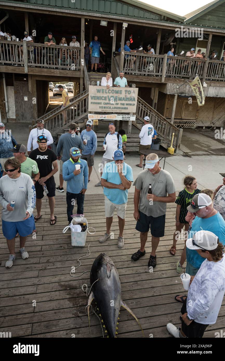 Un groupe de pêcheurs admirent un impressionnant thon à nageoires jaunes à la fin d'une journée réussie de pêche en haute mer au large de Venise, en Louisiane. Banque D'Images