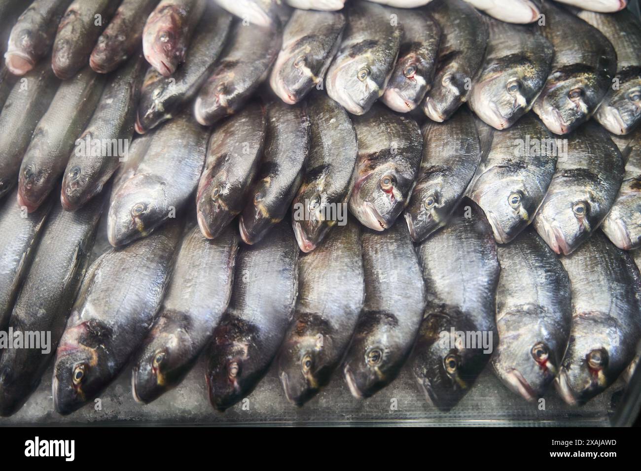 Poisson empilé sur de la glace, en attente de vente, un aliment de base Banque D'Images