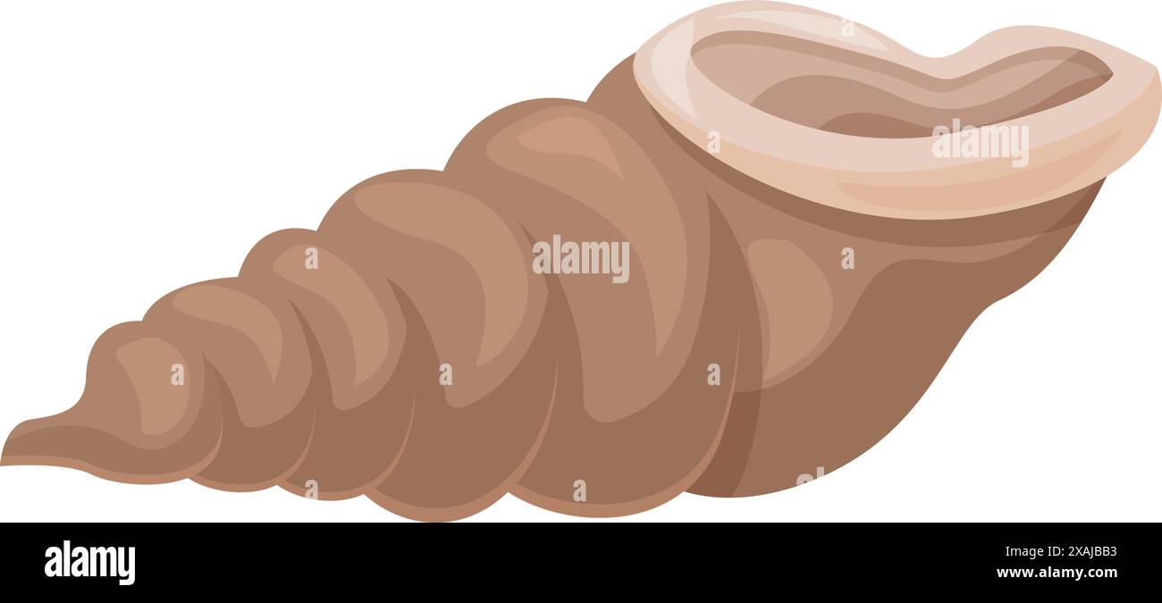 Illustration d'un coquillage vide avec un intérieur lisse et brillant, parfait pour les conceptions sur le thème de la nature et de l'océan Illustration de Vecteur