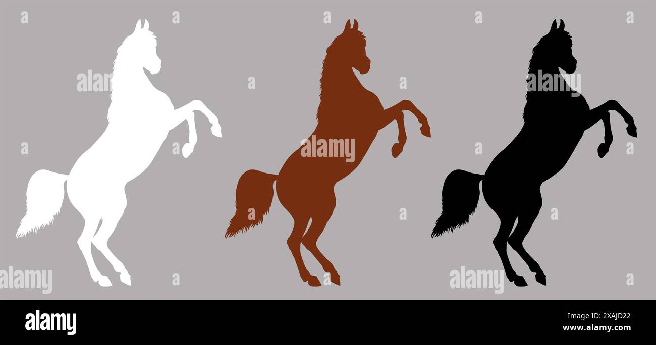 Silhouette noire, blanche et marron d'un cheval arabe en élevage. Dessin équin. Banque D'Images