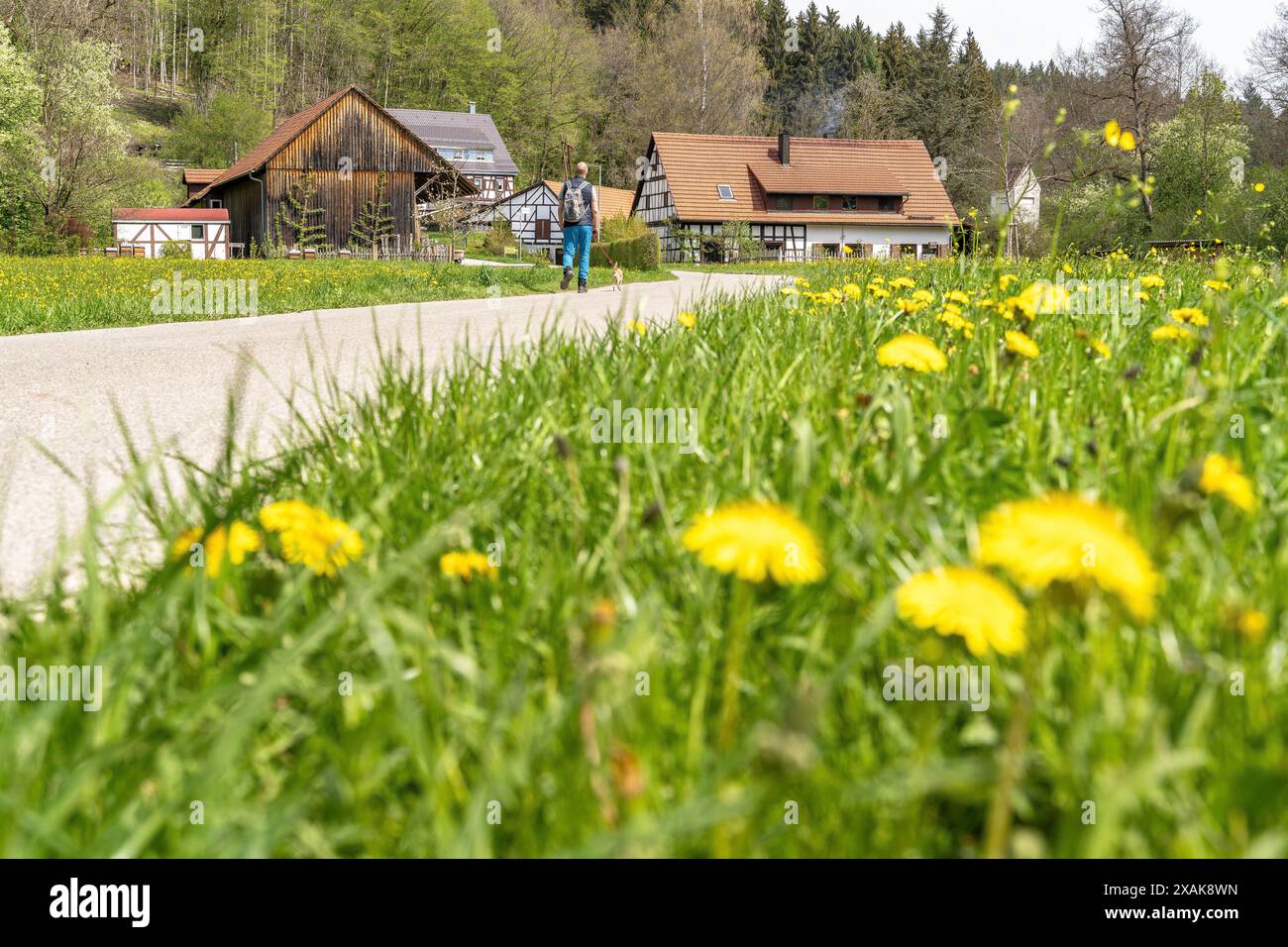 Europe, Allemagne, Bade-Württemberg, Swabian Alb, Lorch, randonneur sur le chemin de terre peu avant la scierie de Bruck Banque D'Images