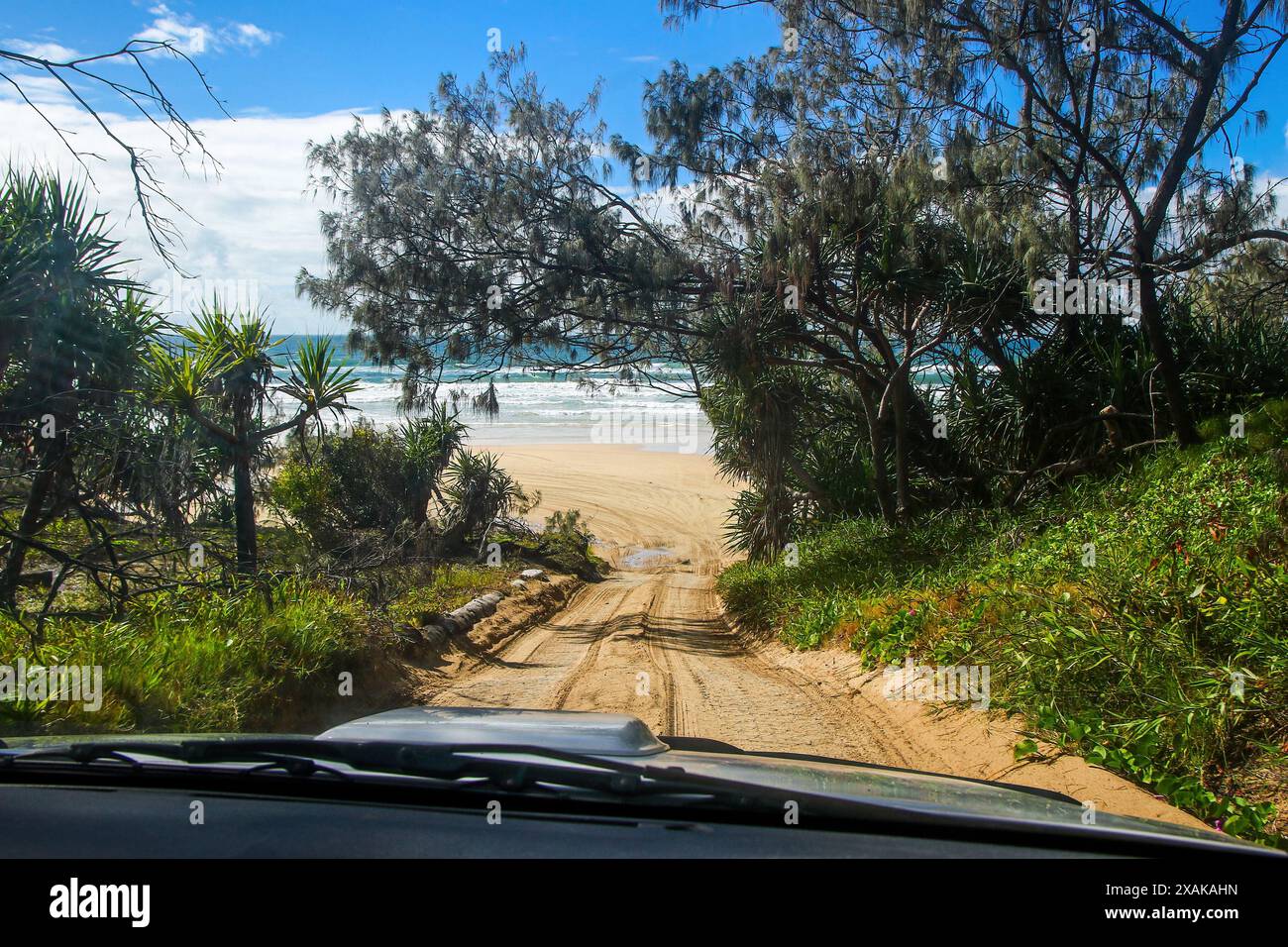 Vue à la première personne d'un chauffeur voyageant à bord d'un 4x4 sur une piste de sable dans la forêt tropicale de Fraser Island, Queensland, Australie Banque D'Images