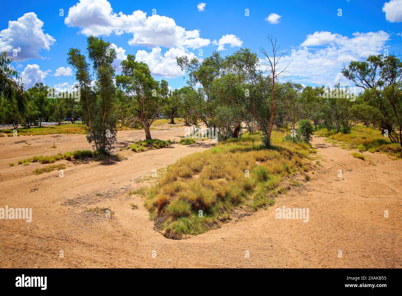 Asséché le lit de l'éphémère Todd River dans le centre-ville d'Alice Springs, territoire du Nord, Australie centrale Banque D'Images