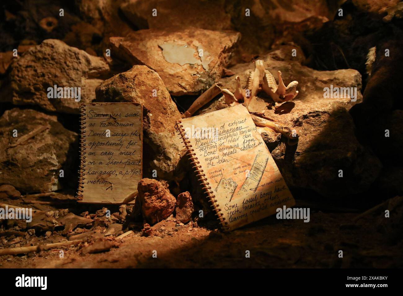 Carnet de notes au Centre des fossiles de Wonambi dans le parc national des grottes de Naracoorte en Australie méridionale Banque D'Images