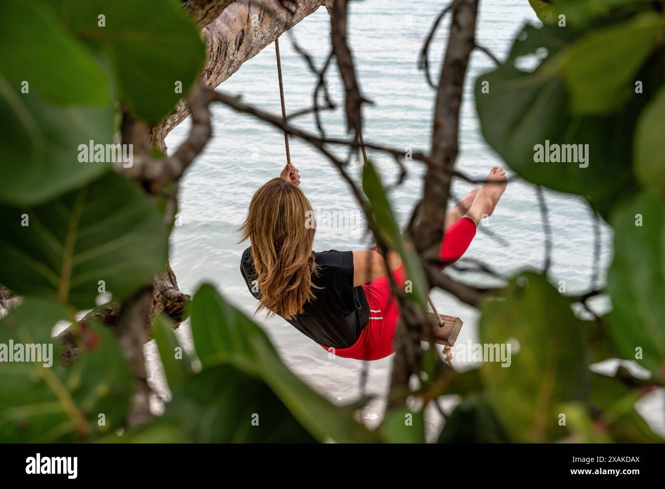 Amérique du Nord, Caraïbes, Grande Antilles, Île d'Hispaniola, République dominicaine, péninsule de Samana, Las Terrenas, Playa El Portillo, femme sur une balançoire en bois sur un palmier sur la plage Banque D'Images