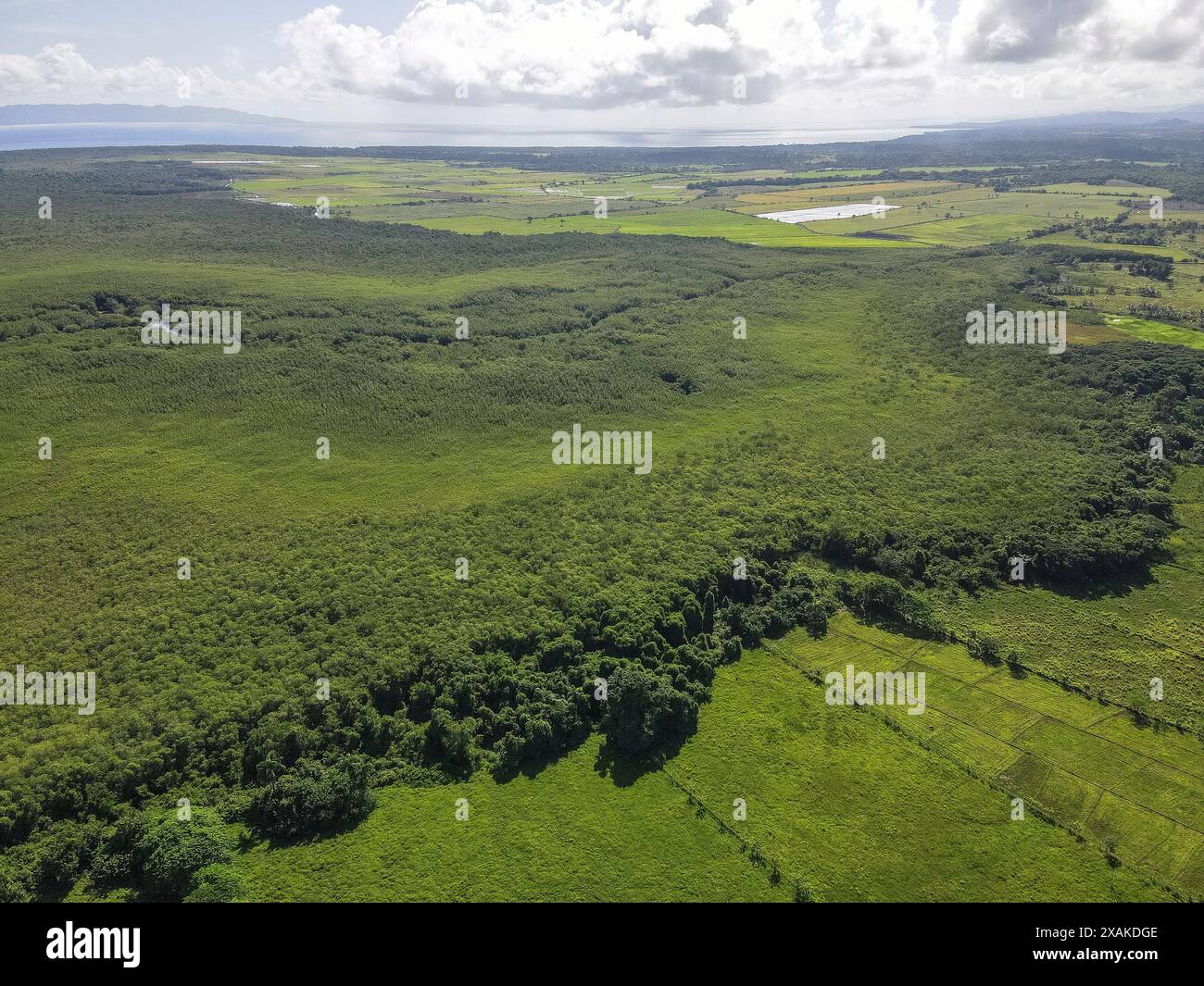 Amérique du Nord, Caraïbes, Grande Antilles, Île d'Hispaniola, République dominicaine, province de Hato Mayor, Sabana de la Mar, vue sur le parc national Los Haitises Banque D'Images