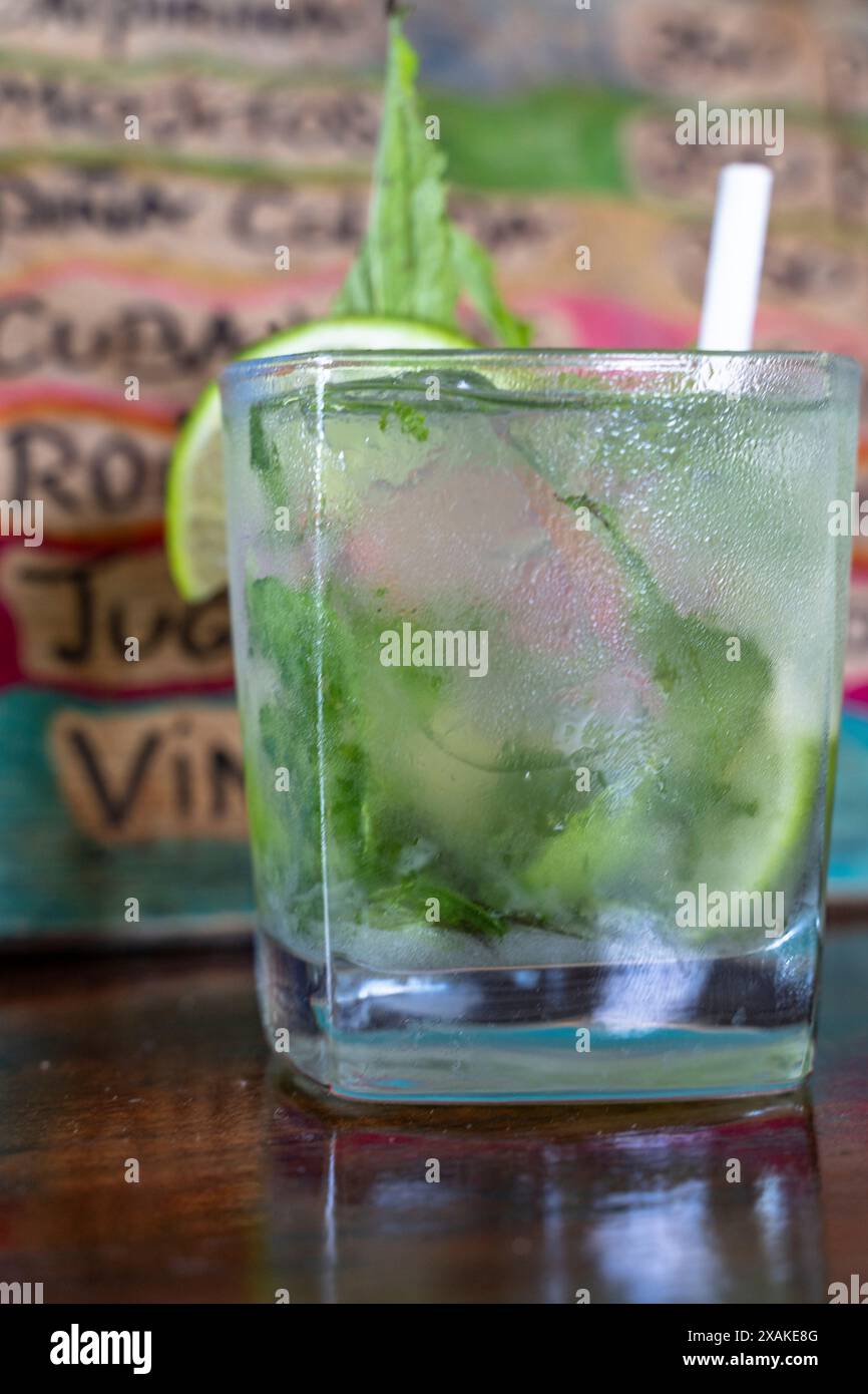 Amérique du Nord, Caraïbes, Grande Antilles, Île d'Hispaniola, République dominicaine, Samana Peninsula, El Limon, Samana Eco Lodge, Mojito devant un menu de boissons coloré Banque D'Images