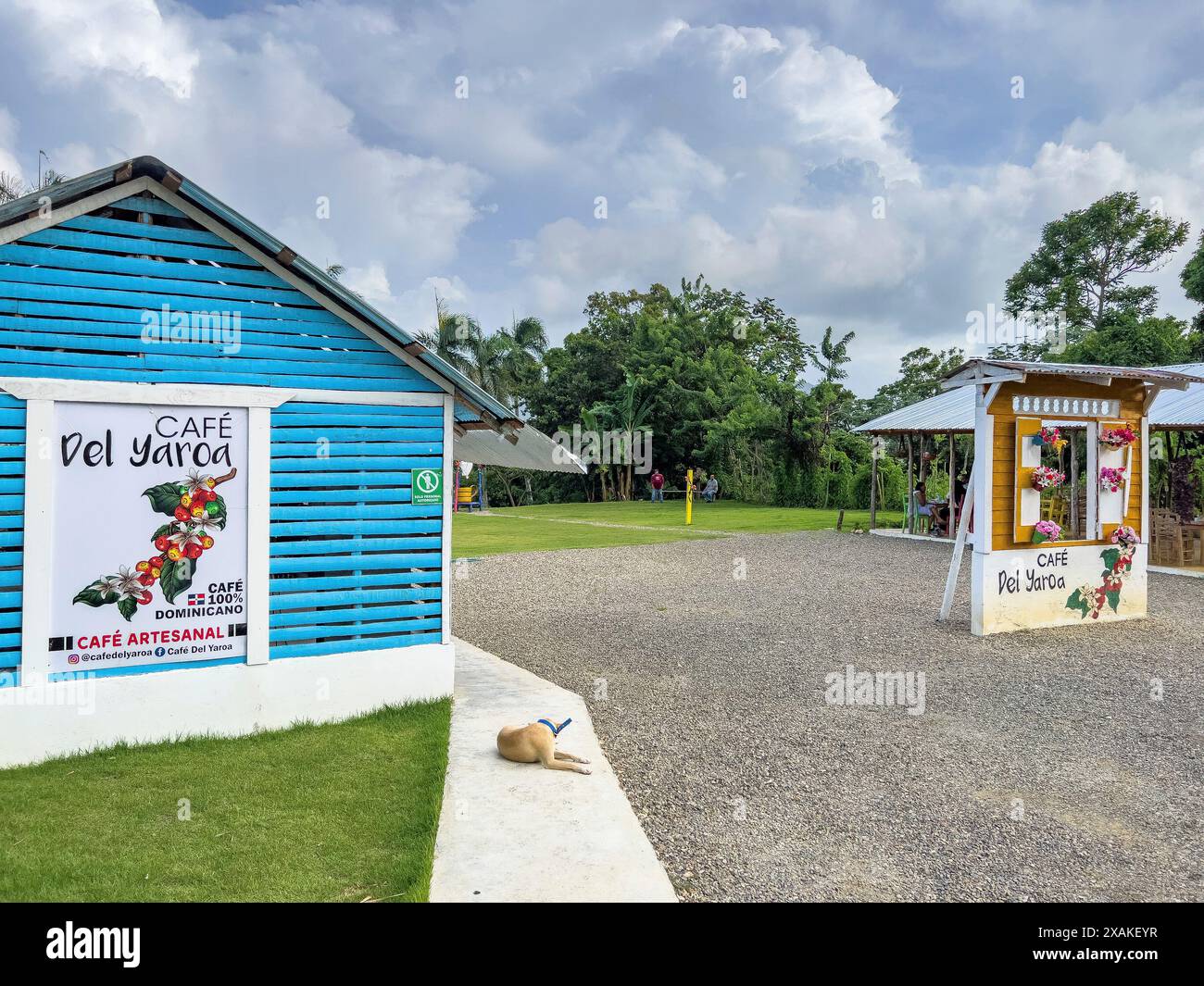 Amérique du Nord, Caraïbes, Grande Antilles, Île d'Hispaniola, République dominicaine, province de Puerto Plata, Lajas de Yaroa, Cafe del Yaroa sur la route panoramique de Santiago à Puerto Plata Banque D'Images