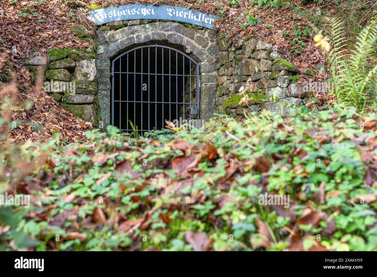 Europe, Allemagne, Bade-Württemberg, Forêt Noire, Parc naturel du sud de la Forêt Noire, Schluchtensteig, cave à bière historique dans la forêt près de Todtmoos Banque D'Images