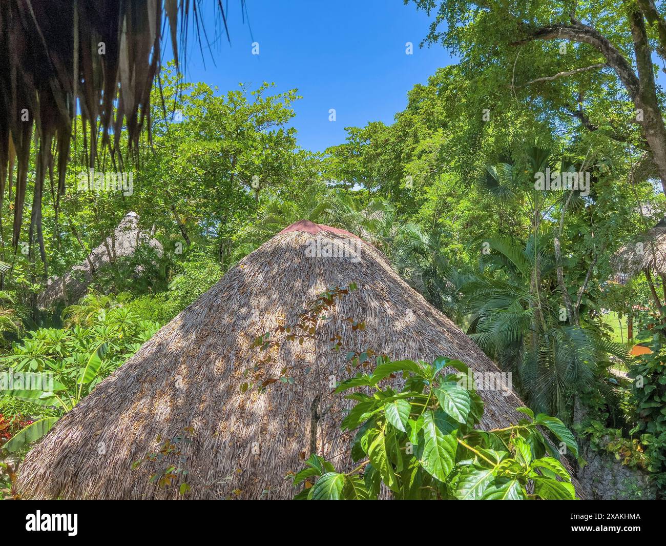 Amérique du Nord, Caraïbes, Grande Antilles, Île d'Hispaniola, République dominicaine, côte nord, Cabarete, vue sur les toits de palmiers au Natura Cabana Boutique Hotel Banque D'Images