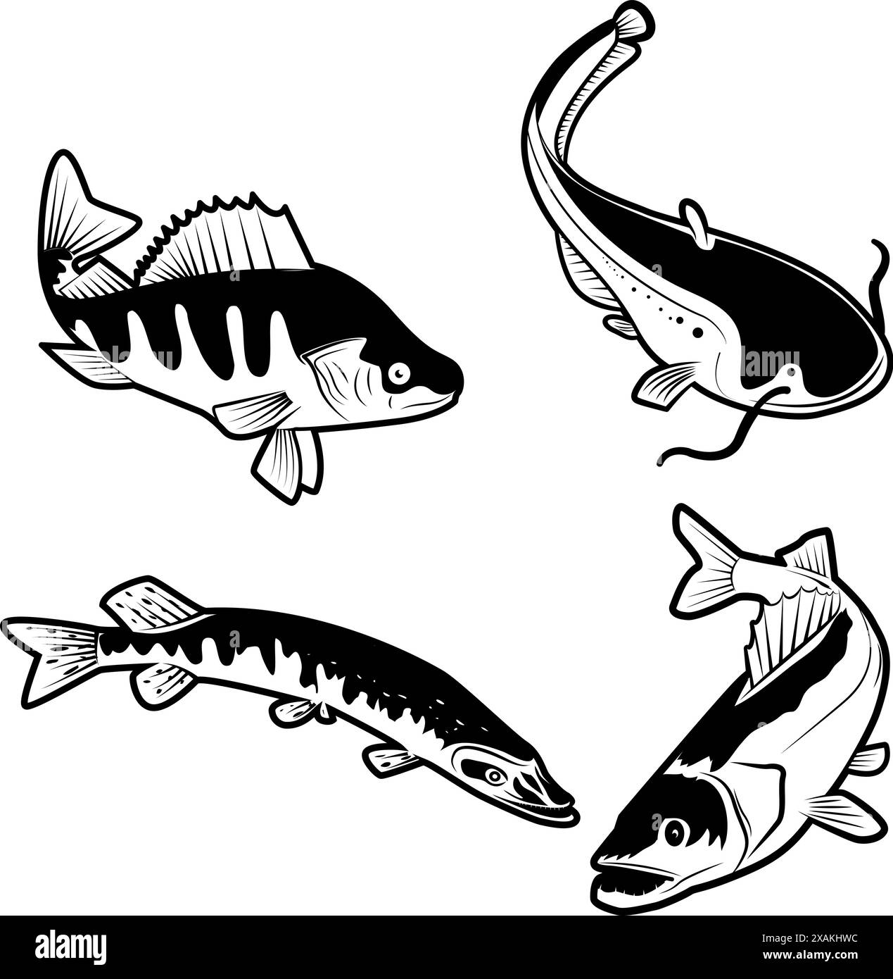 Ensemble du poisson de rivière dans le vecteur. Modèles de conception de logo de poisson Illustration de Vecteur