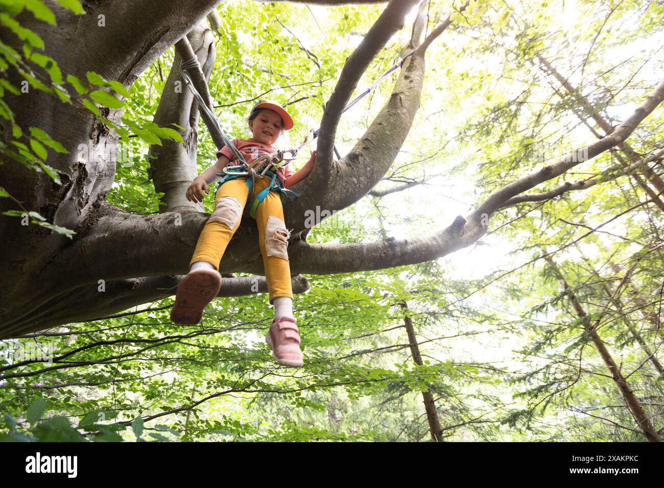 Une fille grimpe dans un grand arbre Banque D'Images