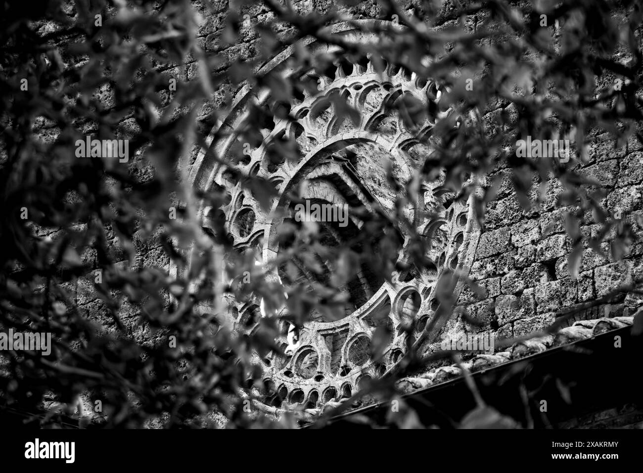 Rosette de fenêtre détruite au monastère cistercien abandonné San Galgano en Toscane, Italie Banque D'Images