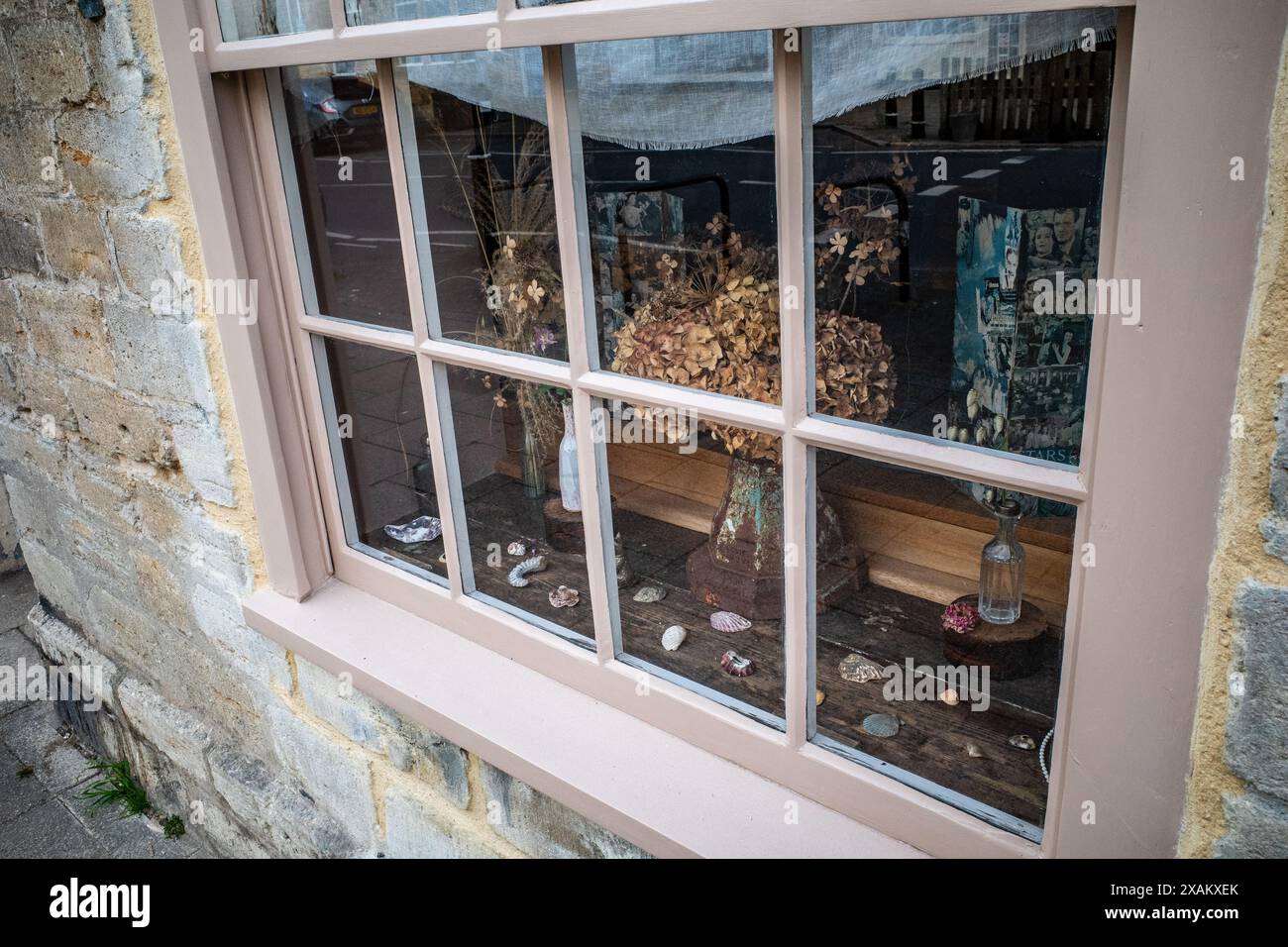 Fleurs séchées et exposition d'objets anciens dans une vitrine de Bridport High Street. Excentrique, artistique, intéressant. Banque D'Images Fleurs séchées et exposition d'objets anciens dans une vitrine de Bridport High Street. Excentrique, artistique, intéressant. Banque D'Images