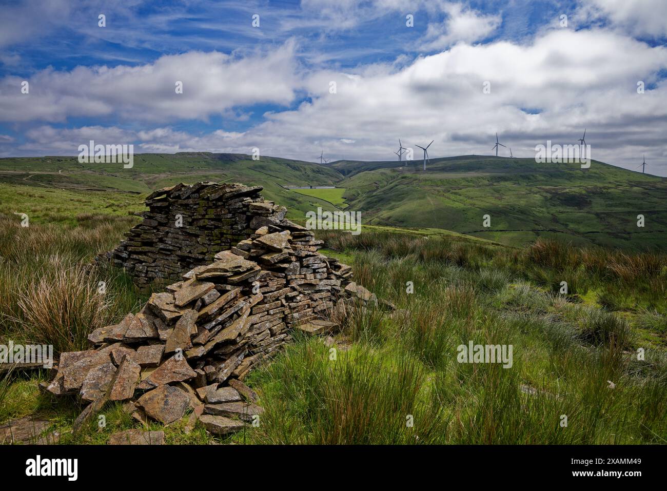 Scout Moor à travers le Dearden Clough Banque D'Images