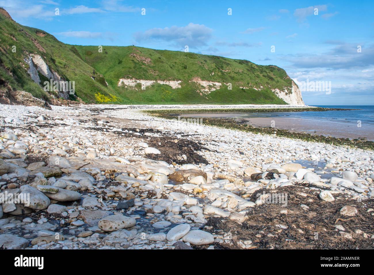 Vue de la plage à South Landing, Flamborough avec des galets blancs ou des rochers, East Riding of Yorkshire, Angleterre, Royaume-Uni Banque D'Images